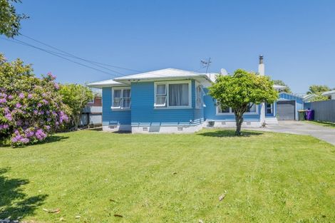 Photo of property in 33 Duke Street, Levin, 5510