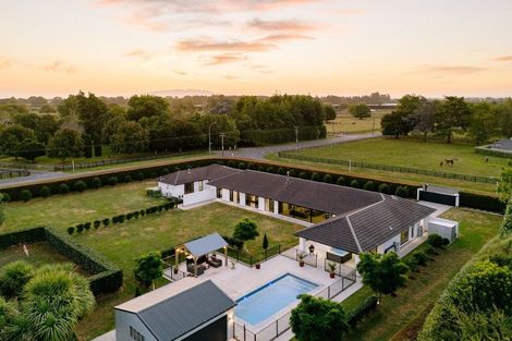 Photo of property in 6 Thirlwall Lane, Cambridge, 3495