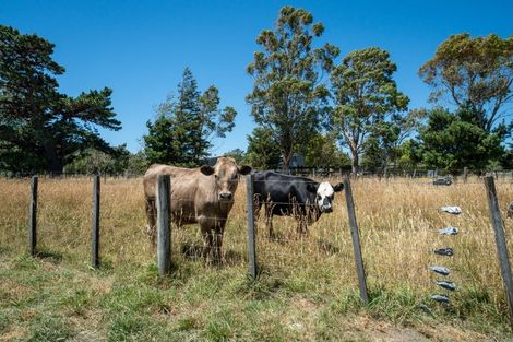 Photo of property in 69 Longwood Road, South Featherston, Featherston, 5771