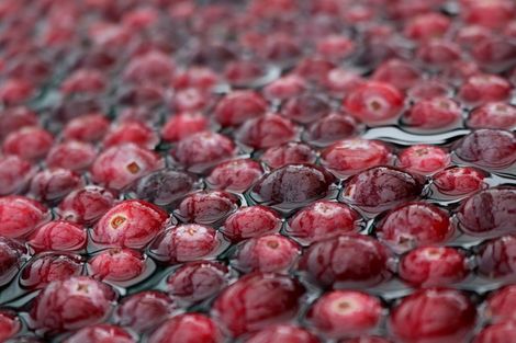 Photo of property in 1218 Old Christchurch Road, Awatuna, Hokitika, 7882