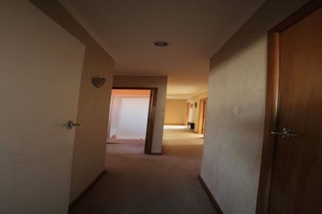 Photo of property in 14 Lysander Place, Hillcrest, Hamilton, 3216