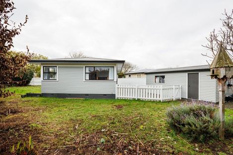 Photo of property in 18 Snowdon Avenue, Terrace End, Palmerston North, 4410