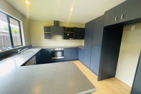 Photo of property in 20 Ballymena Drive, Belfast, Christchurch, 8051