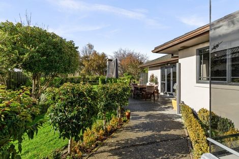 Photo of property in 58 Palmbrook Avenue, Havelock North, 4130