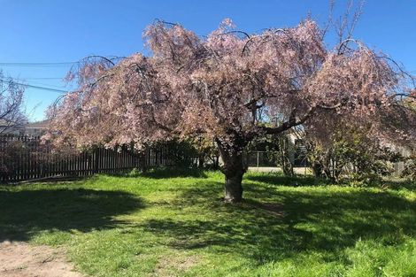 Photo of property in 40 Moreland Avenue, Papanui, Christchurch, 8053