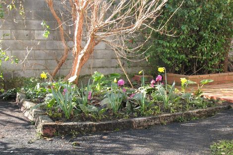 Photo of property in 181 Queen Street, North Dunedin, Dunedin, 9016