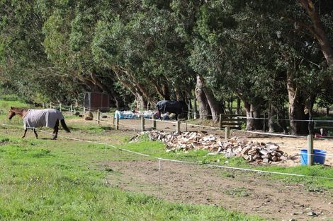 Photo of property in 500 Mill North, Roslyn Bush, Invercargill, 9876