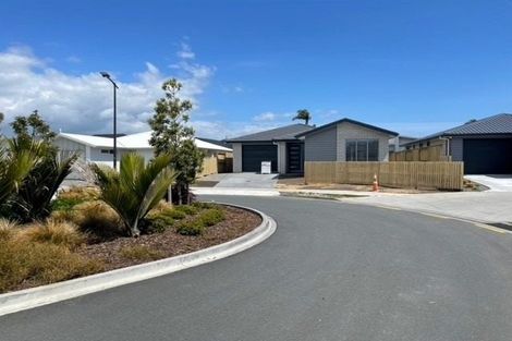 Photo of property in 29 Bronze Court, Papamoa, 3118