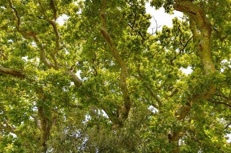 Photo of property in 40 Harris Street, Huntly, 3700