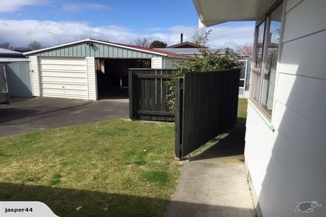 Photo of property in 60 Leicester Avenue, Tamatea, Napier, 4112