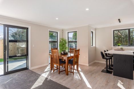 Photo of property in 10a Trafalgar Street, Levin, 5510
