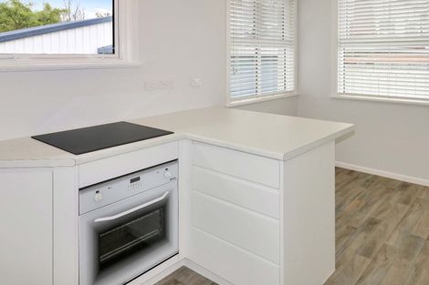 Photo of property in 48c Queens Grove, Hutt Central, Lower Hutt, 5010