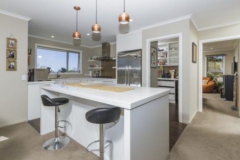 Photo of property in 161 Ridgeview Road, Redwood Valley, Richmond, 7081