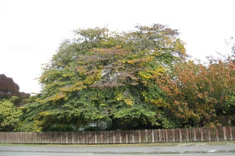 Photo of property in 67 Racecourse Road, Sockburn, Christchurch, 8042