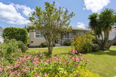 Photo of property in 35 Rugby Street, Levin, 5510