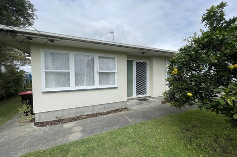 Photo of property in 21 Geddis Avenue, Maraenui, Napier, 4110