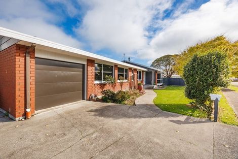 Photo of property in 48 Ruawai Road, Feilding, 4702