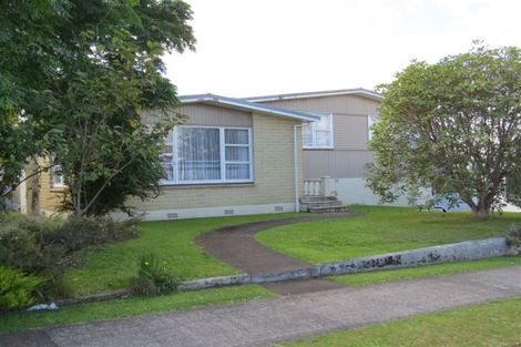 Photo of property in 11 Burn Street, Levin, 5510