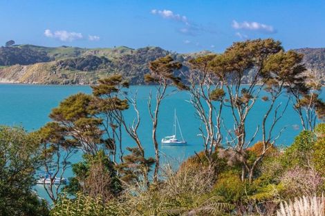 Photo of property in 31 Lily Street, Raglan, 3225