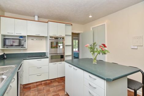 Photo of property in 9 Mcsaveneys Road, Marshland, Christchurch, 8051