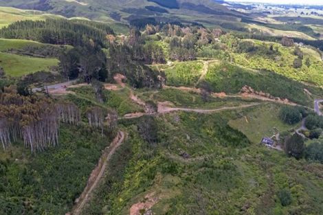 Photo of property in 539 Pahiatua Aokautere Road, Aokautere, 4471