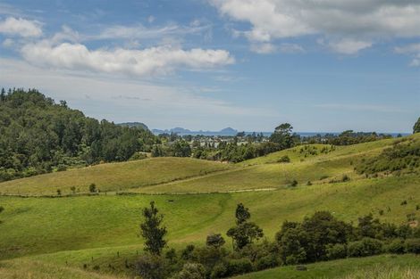 Photo of property in 49 Red Bridge Road, Pukepoto, Hikuai, 3579