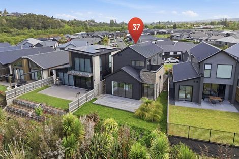 Photo of property in 37 Tangaroa Place, Poike, Tauranga, 3112