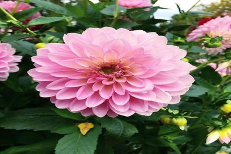 Photo of property in 191 Cecil Road, Wilton, Wellington, 6012