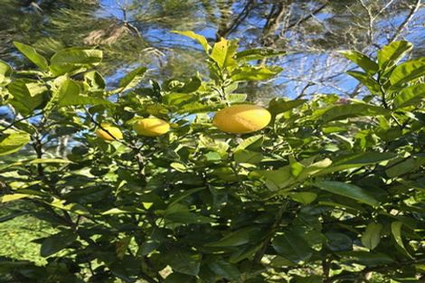 Photo of property in 177b Old Kaimai Road, Lower Kaimai, Tauranga, 3171
