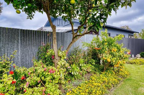 Photo of property in 105a Nelson Crescent, Napier South, Napier, 4110