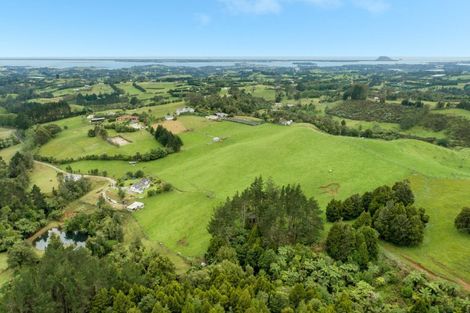 Photo of property in 181 Tim Road, Whakamarama, Tauranga, 3180