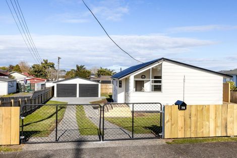 Photo of property in 78 Havelock Road, Ngaruawahia, 3720