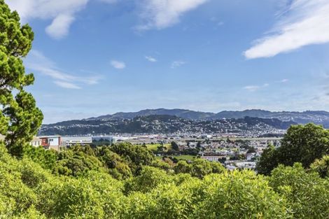 Photo of property in 85 Kinghorne Street, Strathmore Park, Wellington, 6022