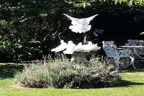 Photo of property in 43 Queen Victoria Street, Motueka, 7120