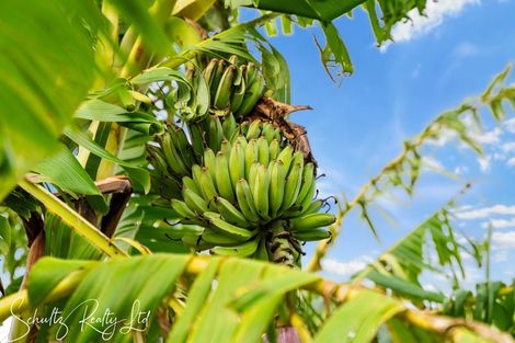 Photo of property in 9 Whaka Street, Maungaturoto, 0520