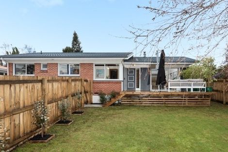 Photo of property in 16 Sharyn Place, Brookfield, Tauranga, 3110