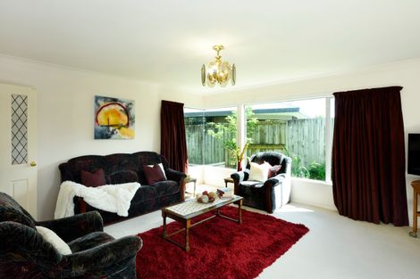 Photo of property in 46 Rochfort Drive, Richmond, 7020