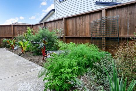 Photo of property in 65 Knighton Road, Hillcrest, Hamilton, 3216