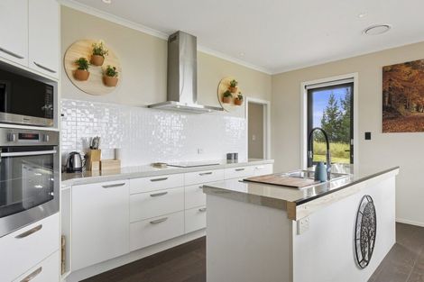 Photo of property in 61 Big Stone Road, Brighton, 9091