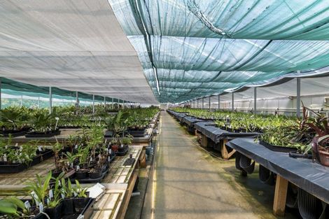 Photo of property in 1370 East Coast Road, Redvale, Albany, 0794