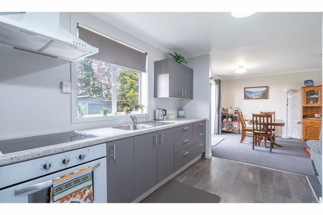 Photo of property in 8 Durham Street, Mataura, 9712