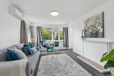 Photo of property in 17 Strand Crescent, Naenae, Lower Hutt, 5011