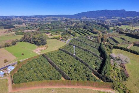 Photo of property in 50 Wright Road, Dairy Flat, Albany, 0794