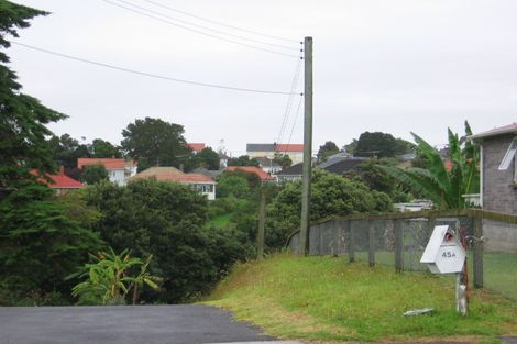 Photo of property in 45 Torino Street, Point England, Auckland, 1072