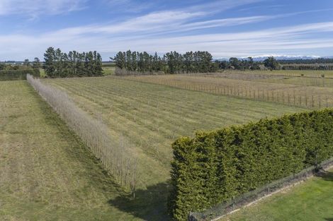 Photo of property in 150 Station Road, Kirwee, Christchurch, 7671