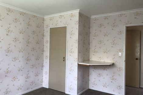 Photo of property in 38a Saint Annes Street, Levin, 5510