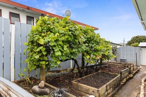 Photo of property in 62 Atuaroa Avenue, Te Puke, 3119