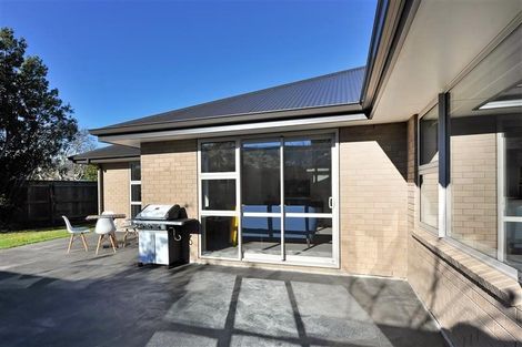 Photo of property in 14 Win Place, Richmond, 7020