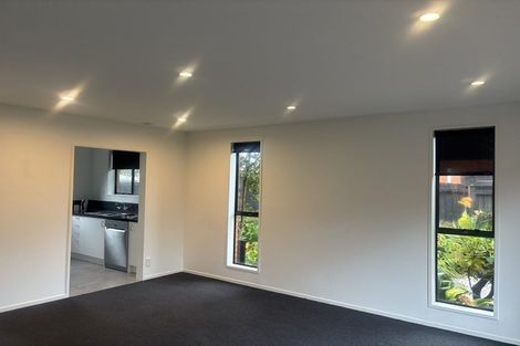 Photo of property in 2b Coles Place, St Albans, Christchurch, 8014