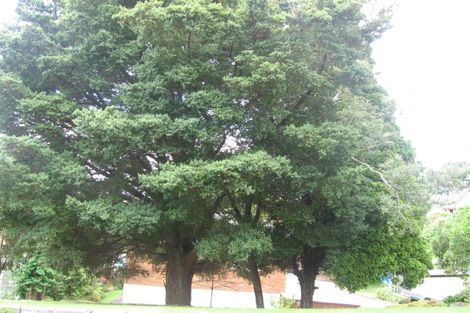 Photo of property in 34a Seacliffe Road, Hillsborough, Auckland, 1042